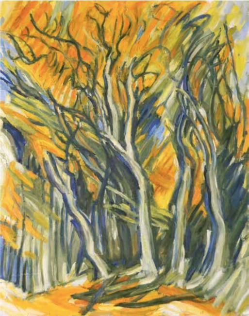 Inside Beech Copse