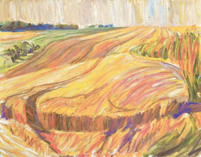 Evening Wheat Field