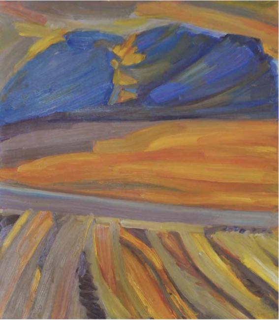 Ploughed Fields Abstract