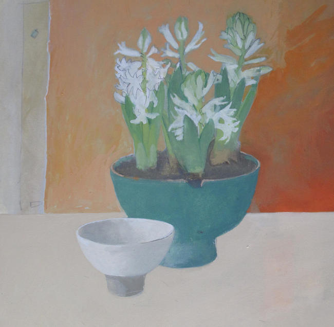 Emerging hyacinths