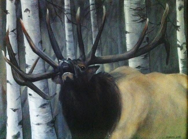 Elk