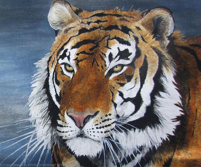 Siberian Tiger
