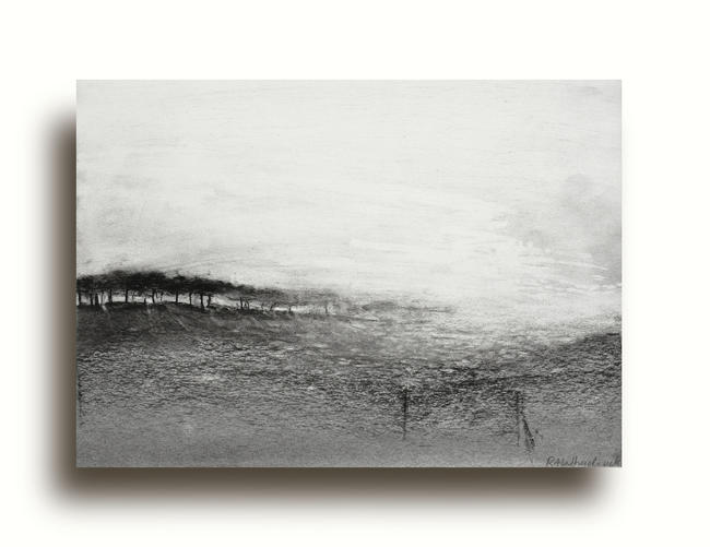 Tree Rise | Drawing