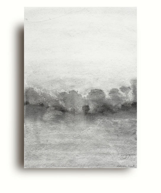 Ghost Copse | Drawing