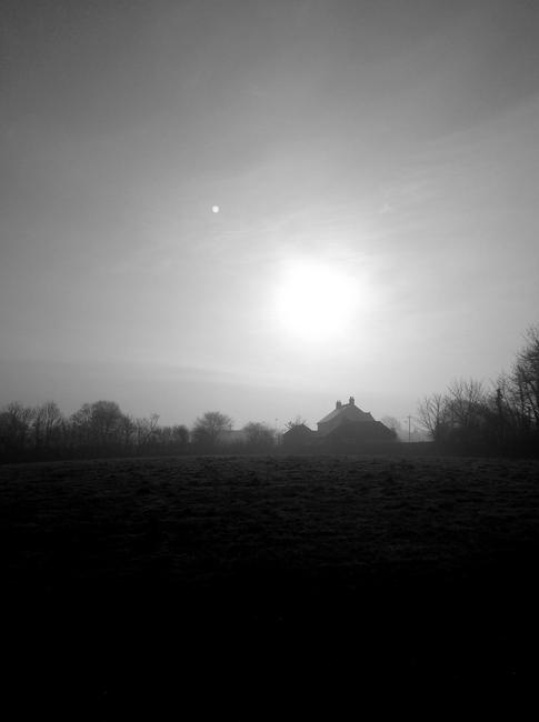 Devon Morning