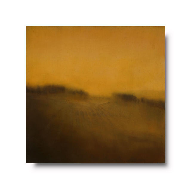 Amber Hues Veiled | Oil on Canvas