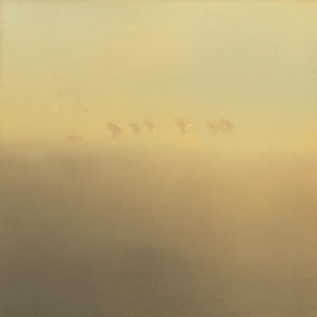 Corporeal | Oil on Panel