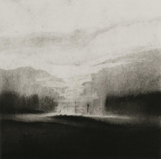 Forest Light