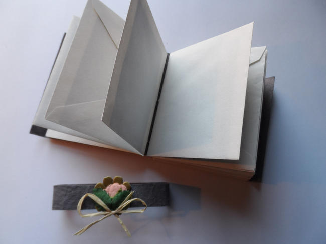 Envelope book