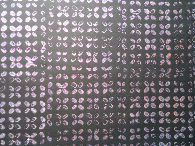Printing on paper