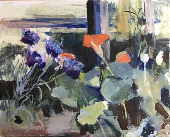 Cornflower,nasturtium,poppy