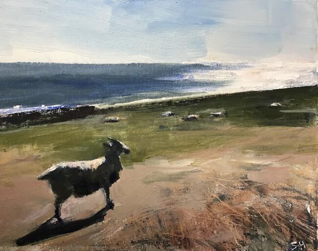 Sheep and Sea
