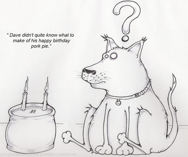 Dogs Dinner