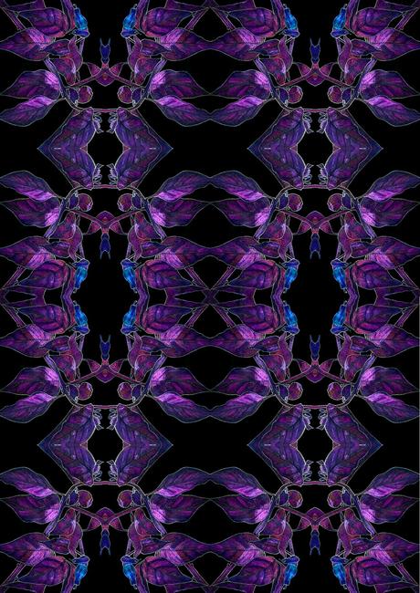 Chilli - Negative in Repetition