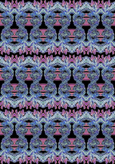 Japanese Andromeda - Negative in Repetition