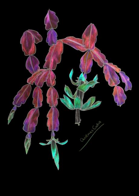 Christmas Cactus - Negative