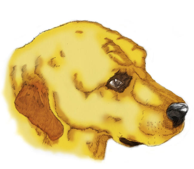 Sandy portrait