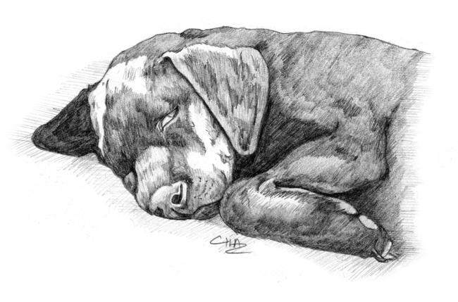 Snooze