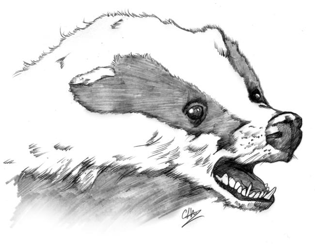 Digger the Badger