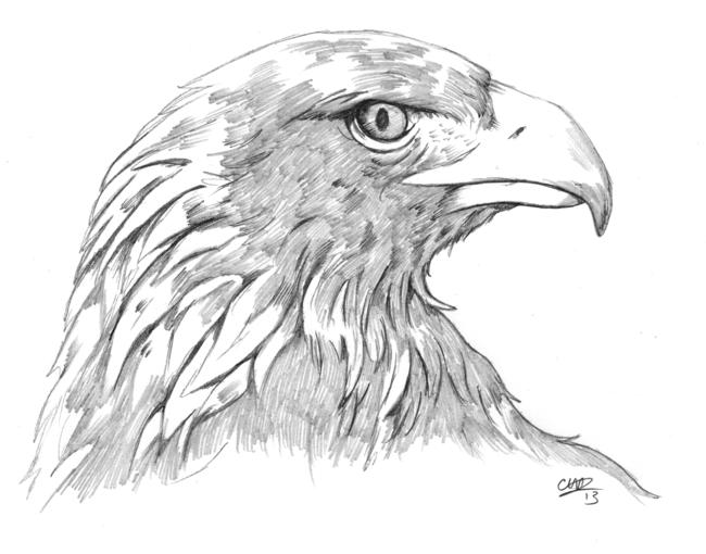 Aquila