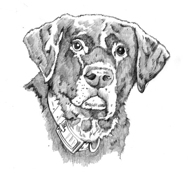Old Lab