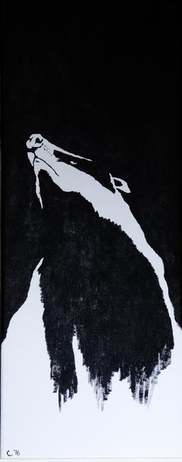 Badger Rising