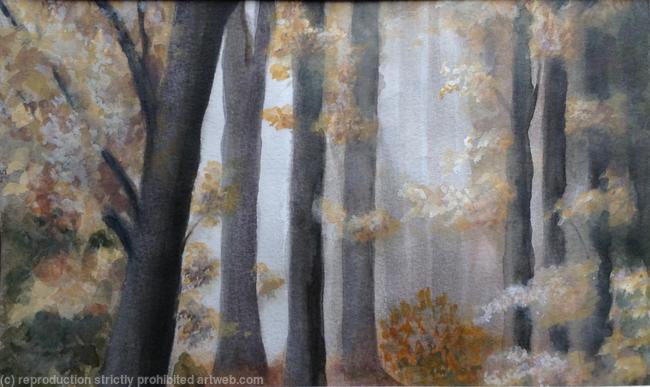 Autumn woods