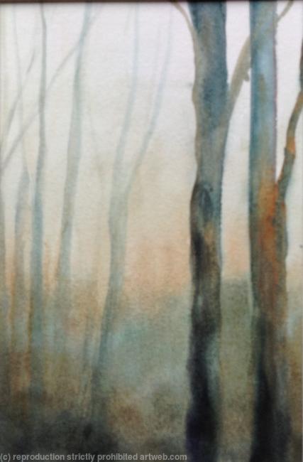 Winter woods 2