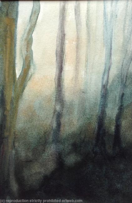 Winter woods 1