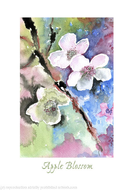 Blossom
