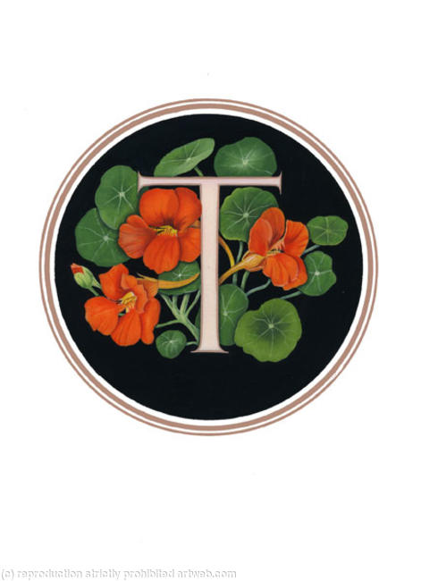 Letter T
