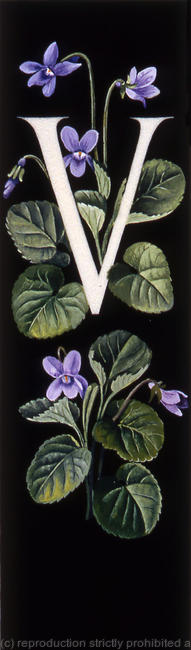 Letter V