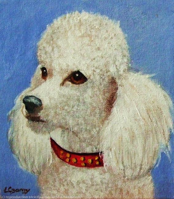Poodle