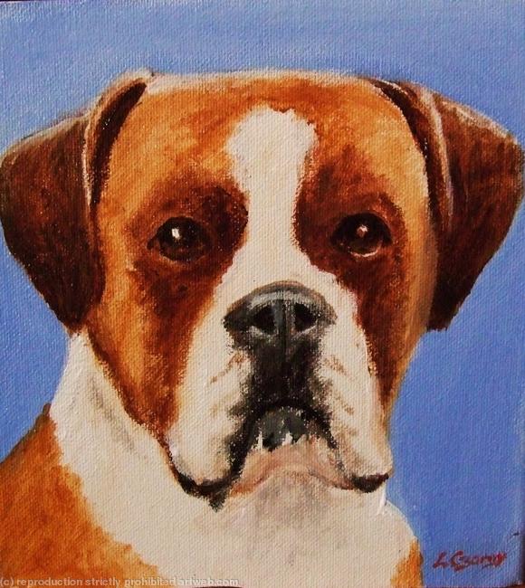 Boxer