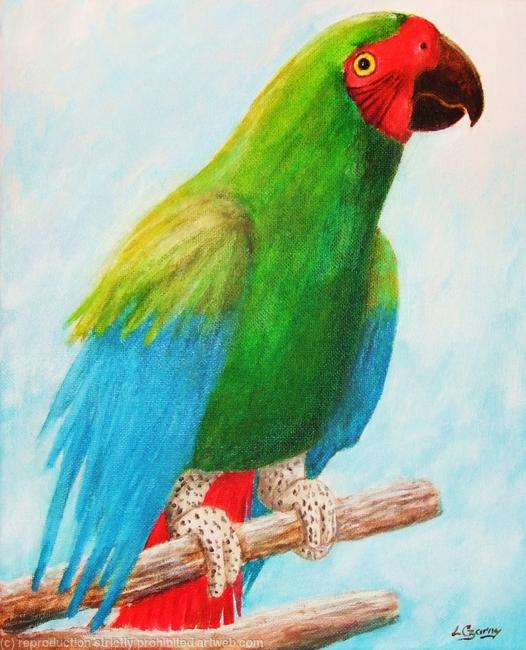 Polly