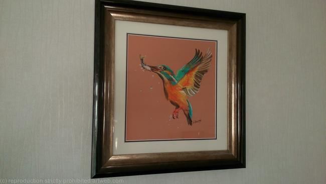 Kingfisher
