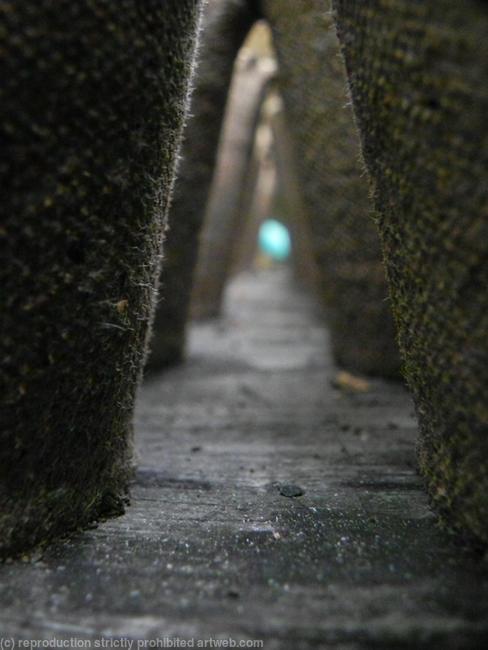 The Tunnel