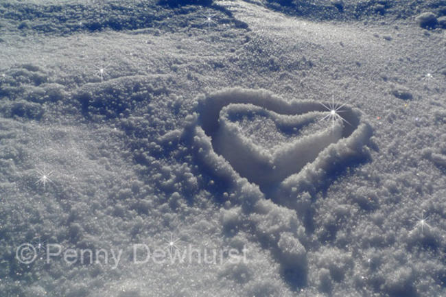 Snow Heart