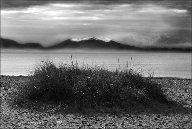 The Rivals from Newborough