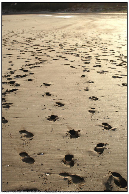 Footprints Llanddwyn Island