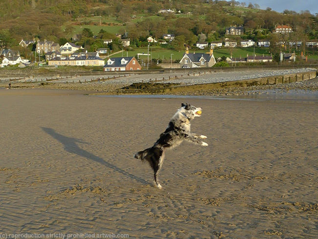 Got it! or is she dancing?