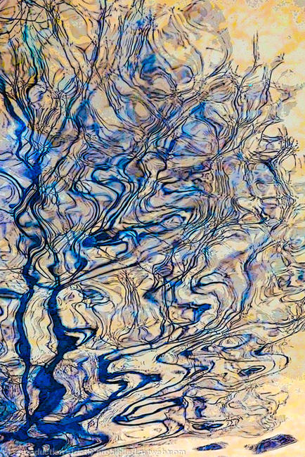 Tree reflection