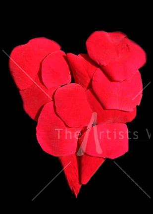 Red rose petal heart