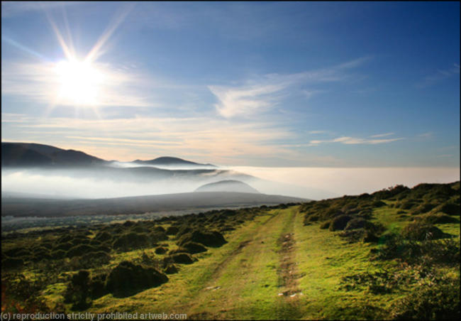 Sun & mist
