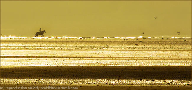 Horseride in golden sunshine