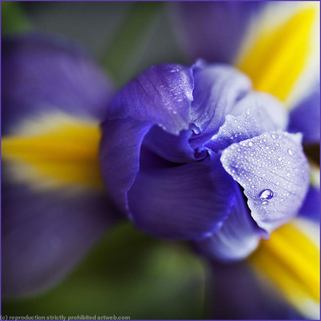 2012_06_10_2111e2