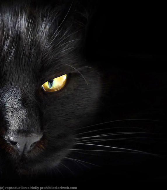 I've got my eye on you!