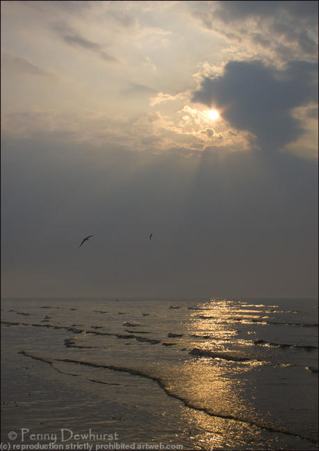 Evening rays 1