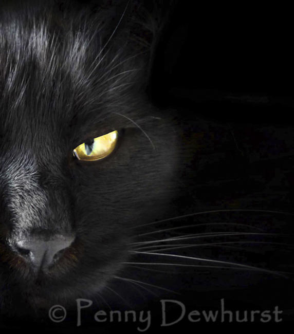 I've got my eye on you