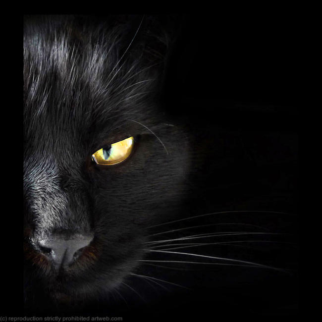 I've got my eye on you